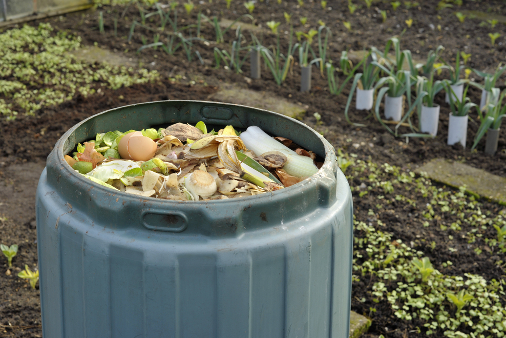 food-waste-composting-neat-streets